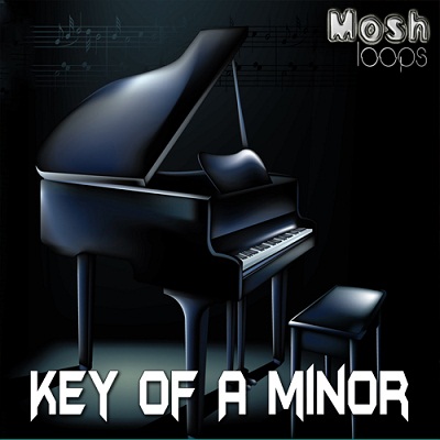 Mosh Loops Key Of A Minor ACID/WAV/AiFF