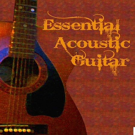 Fix-A-Flat Essential Acoustic Guitar WAV AiFF-DISCOVER