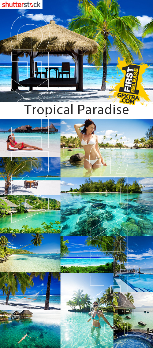 Tropical Paradise - 25 HQ JPEG Stock Photo