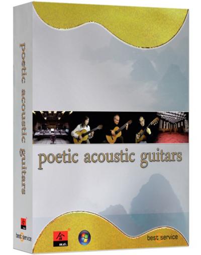 H.E Audio Poetic Acoustic Guitars v2.2.1 Incl Keygen-R2R