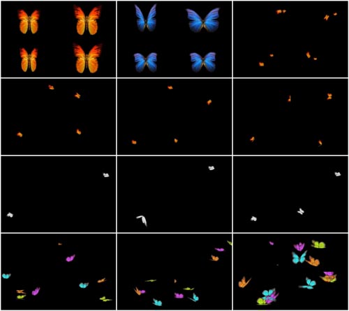 Footage Butterflies with alpha channel