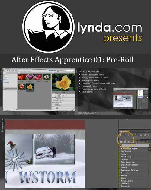 Lynda.com After Effects Apprentice 01: Pre-Roll