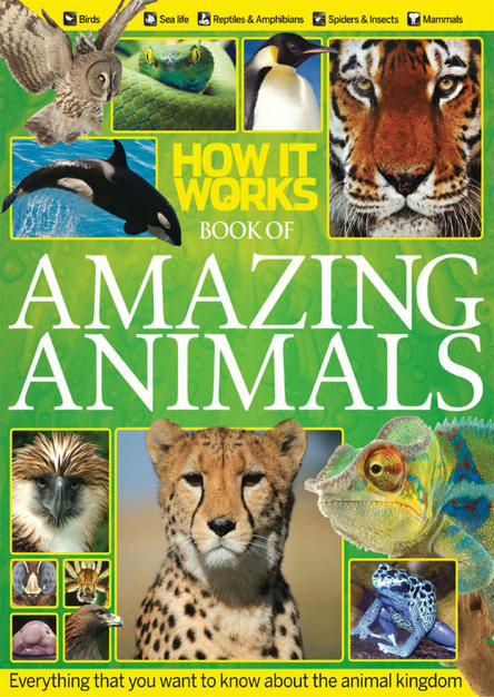 How It Works: Amazing Animals (UK)