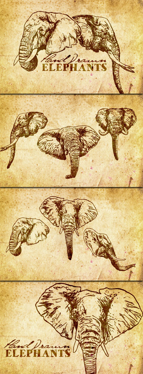 WeGraphics - Hand Drawn Elephant Vectors