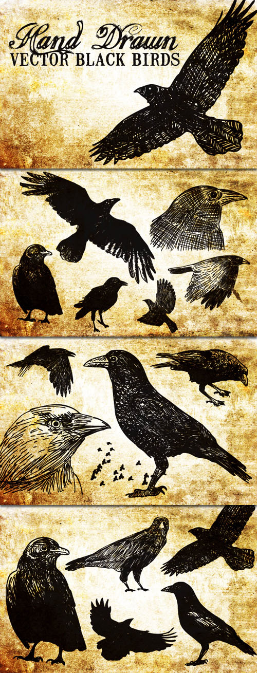 WeGraphics - 20 Hand Drawn Vector Black Birds