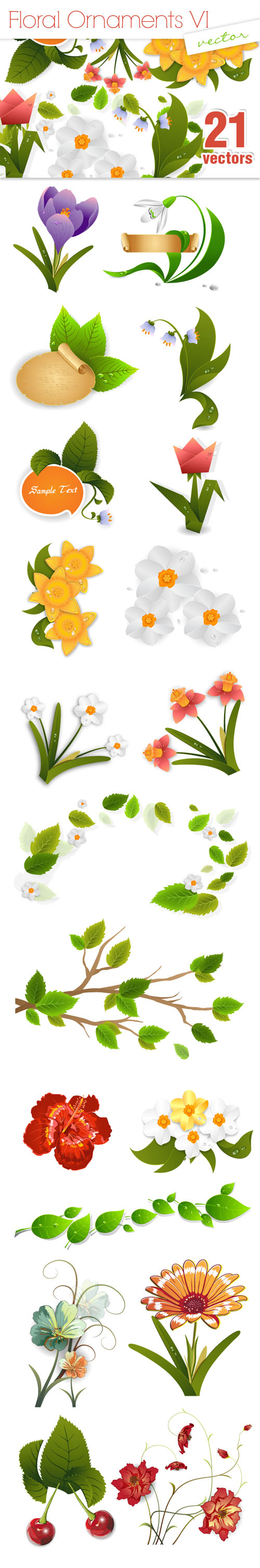 Designtnt - Vector Floral Ornaments Set 6