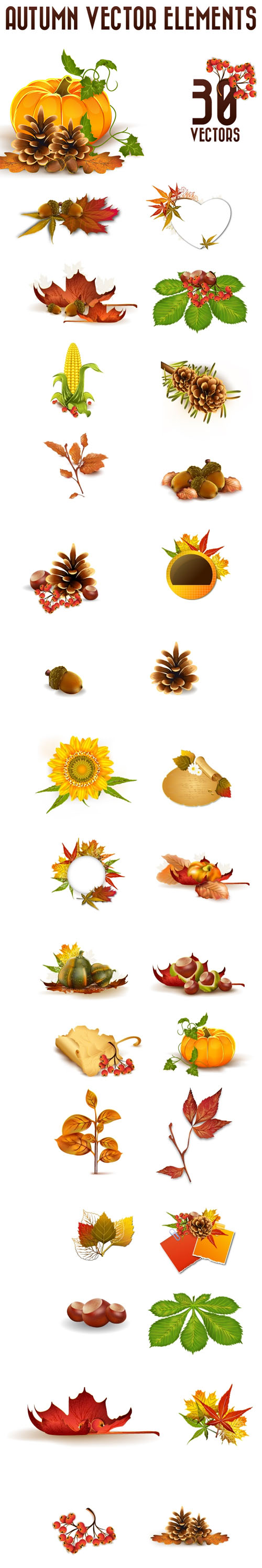 Designtnt - Vector Autumn Elements Set 1