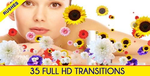 VideoHive Editors Transition Pack (Motion Graphics)