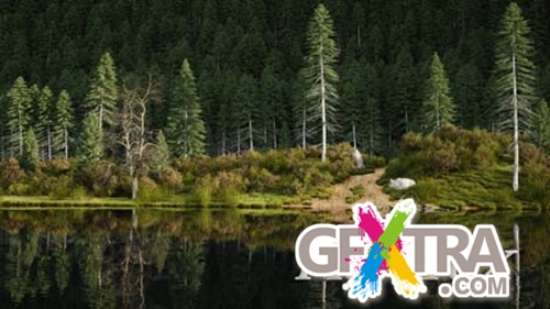 Grass Hill Scene Grass Hill Scene