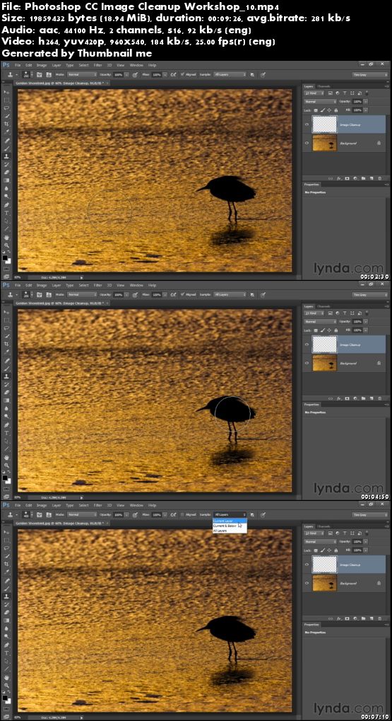 Photoshop CC Image Cleanup Workshop