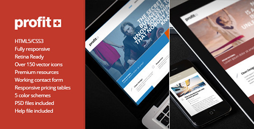 ThemeForest - Profit+ Responsive Multipurpose HTML5 Template - RIP