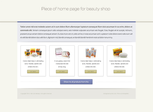 PSD Web Design - Flat piece from beauty eshop