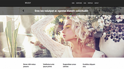 ThemesKingdom - Boldly v1.7.0 - Portfolio WordPress Theme