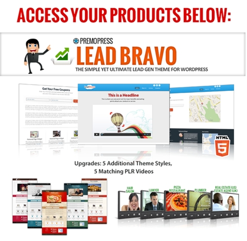 WP LeadBravo Theme