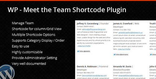 CodeCanyon - Meet The Team Plugin