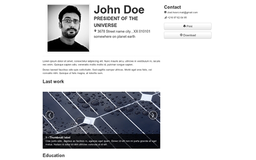 WrapBootstrap - Simple Curriculum Vitae