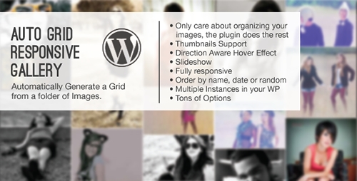 CodeCanyon - Auto Grid Responsive Gallery v2.2 - Wordpress