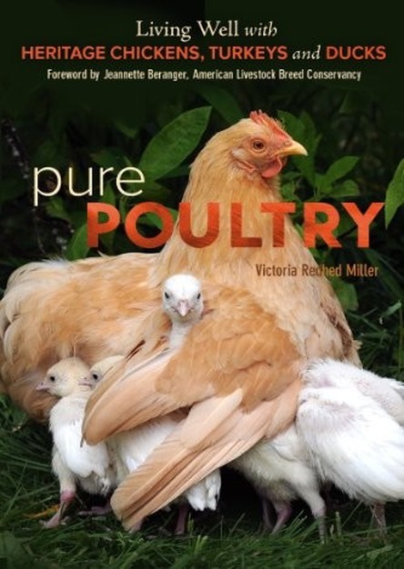 Pure Poultry: Living Well with Heritage Chickens, Turkeys and Ducks