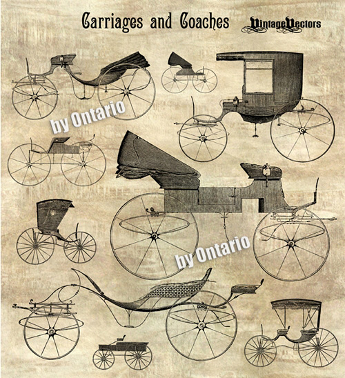 Detailed old Carriages and Coaches in vector