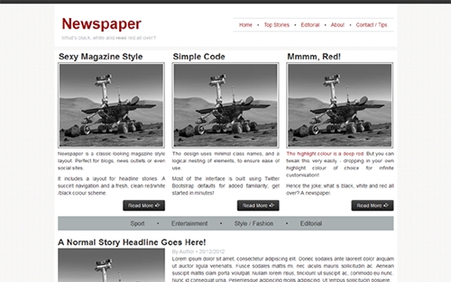 WrapBootstrap - Newspaper