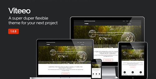 ThemeForest - Viteeo v1.0.3 - Responsive Business Theme