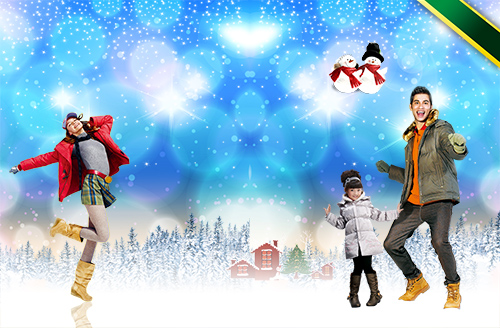 PSD Source - Christmas and New Year 2014 vol.12