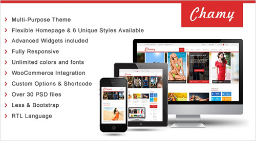 SmartAddons - SW Chamy v1.0 - Responsive WordPress Theme