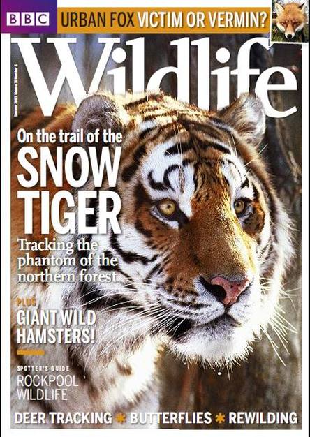 BBC Wildlife - Summer 2013 (TRUE PDF)