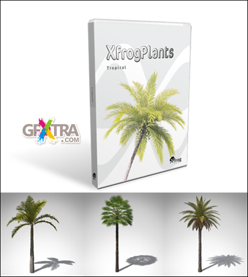 XfrogPlants - TROPICAL XfrogPlants - TROPICAL