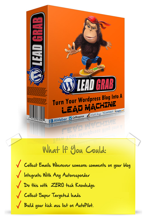 WP Lead Grab - Turn Your Wordpress Blog Into A Lead Machine