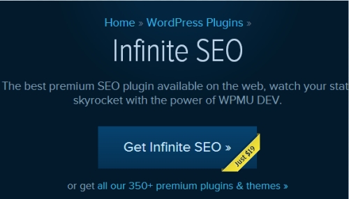 Infinite SEO WordPress Plugin v1.6.7