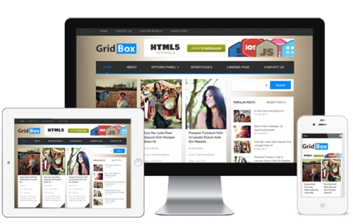 MyThemeShop - Gridbox v1.1 - WordPress Theme