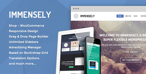 ThemeForest - Immensely v1.1.1 - Responsive Multi-Purpose Theme