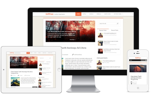 MyThemeShop - SoftPress v1.0 - WordPress Theme