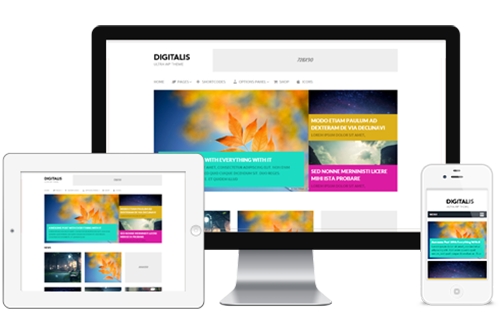 MyThemeShop - Digitalis v1.0 - WordPress Theme