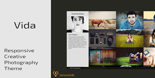 ThemeForest - Vida - Responsive Creative Photography Template - RIP