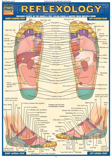 Reflexology (QuickStudy)