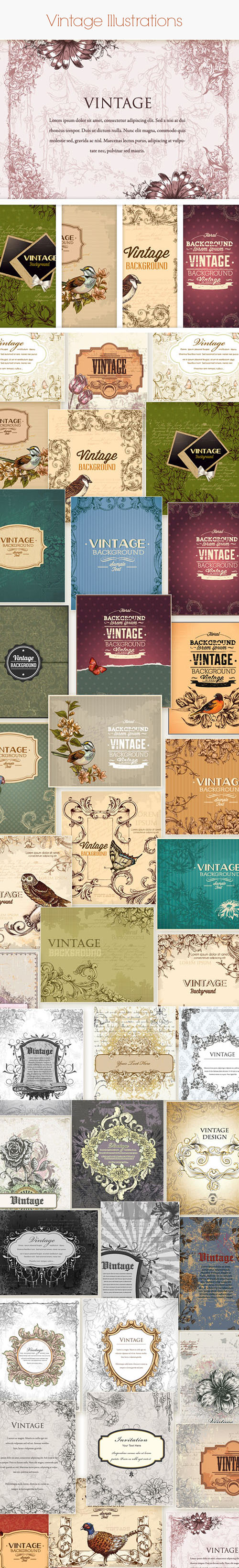 Vintage Vector Stock Illustrations Bundle