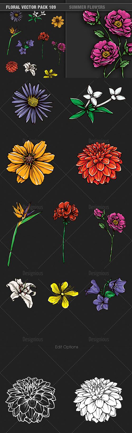 Summer Flowers Vector Illustrations Pack 109