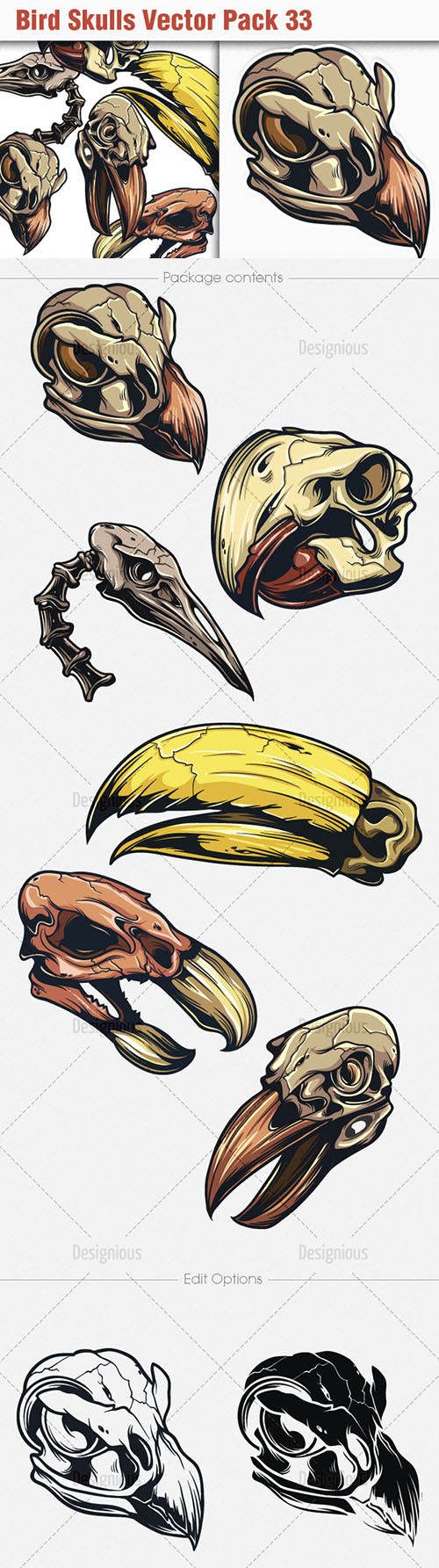 Bird Skulls Vector Illustrations Pack 33