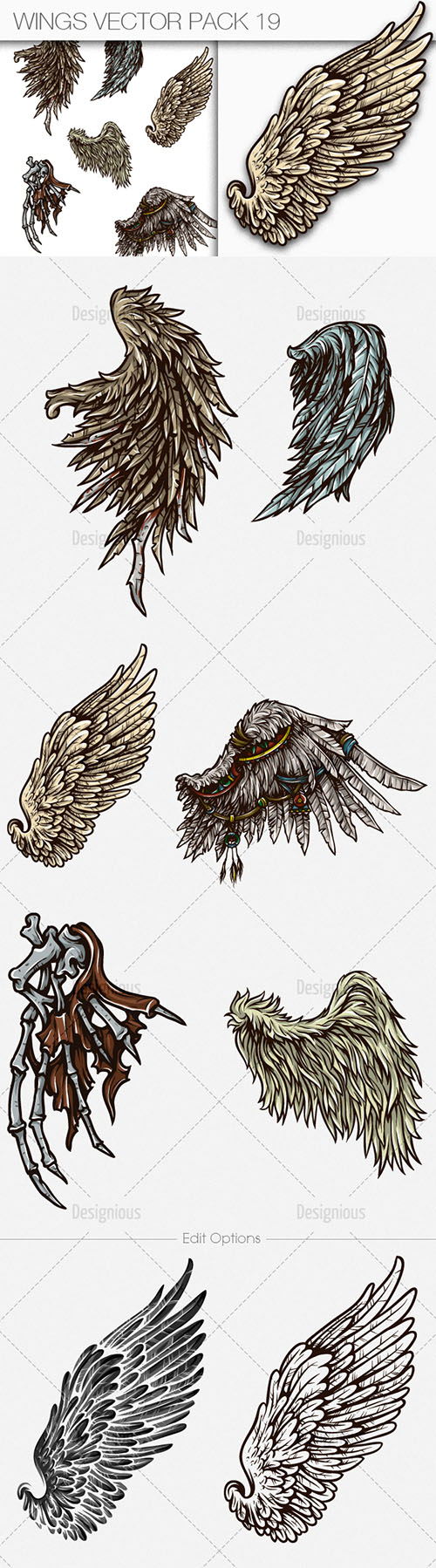 Wings Vector Illustrations Pack 19