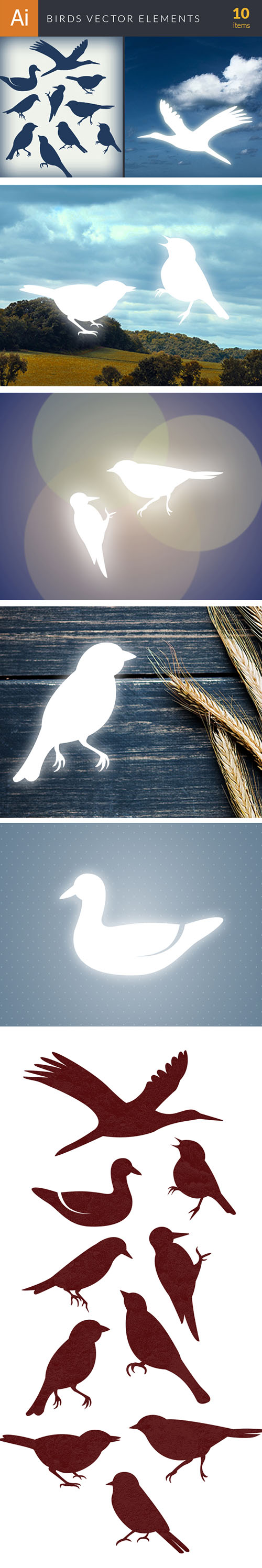 Simple Bird Vector Elements Set 1