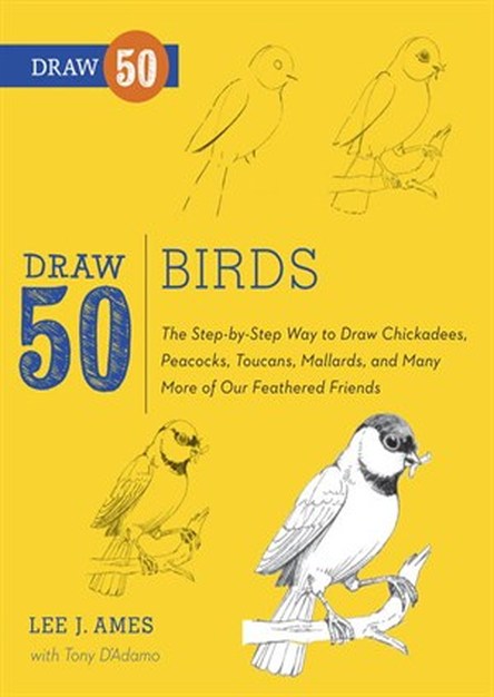 Draw 50 Birds