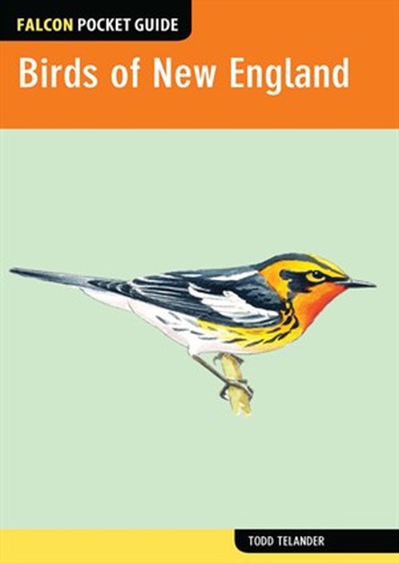 Birds of New England: A Falcon Pocket Guide