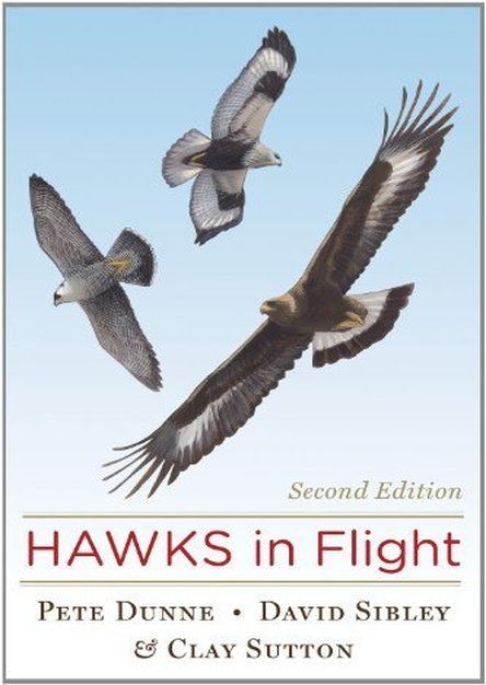 Hawks in Flight: Second Edition