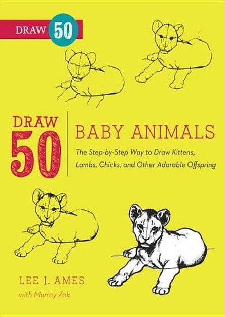 Draw 50 Baby Animals