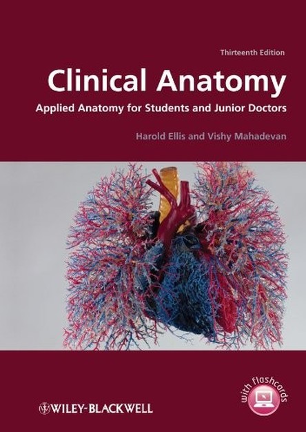 Clinical Anatomy: Applied Anatomy for Students and Junior Doctors, 13th Edition