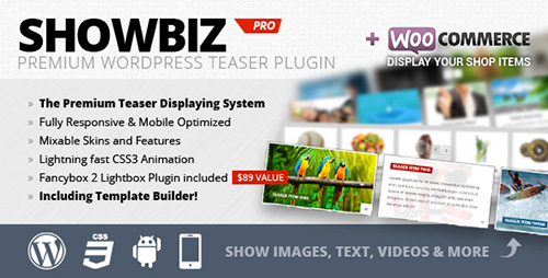 CodeCanyon - Showbiz v1.6 - Pro Responsive Teaser WordPress Plugin