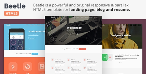 ThemeForest - Beetle HTML - Responsive HTML5 Template - RIP