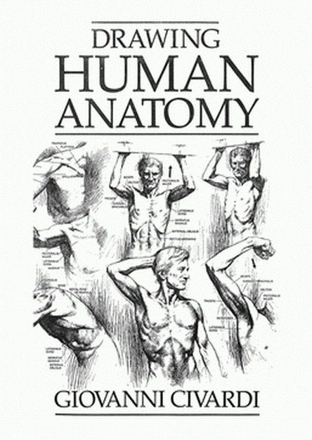 Drawing Human Anatomy